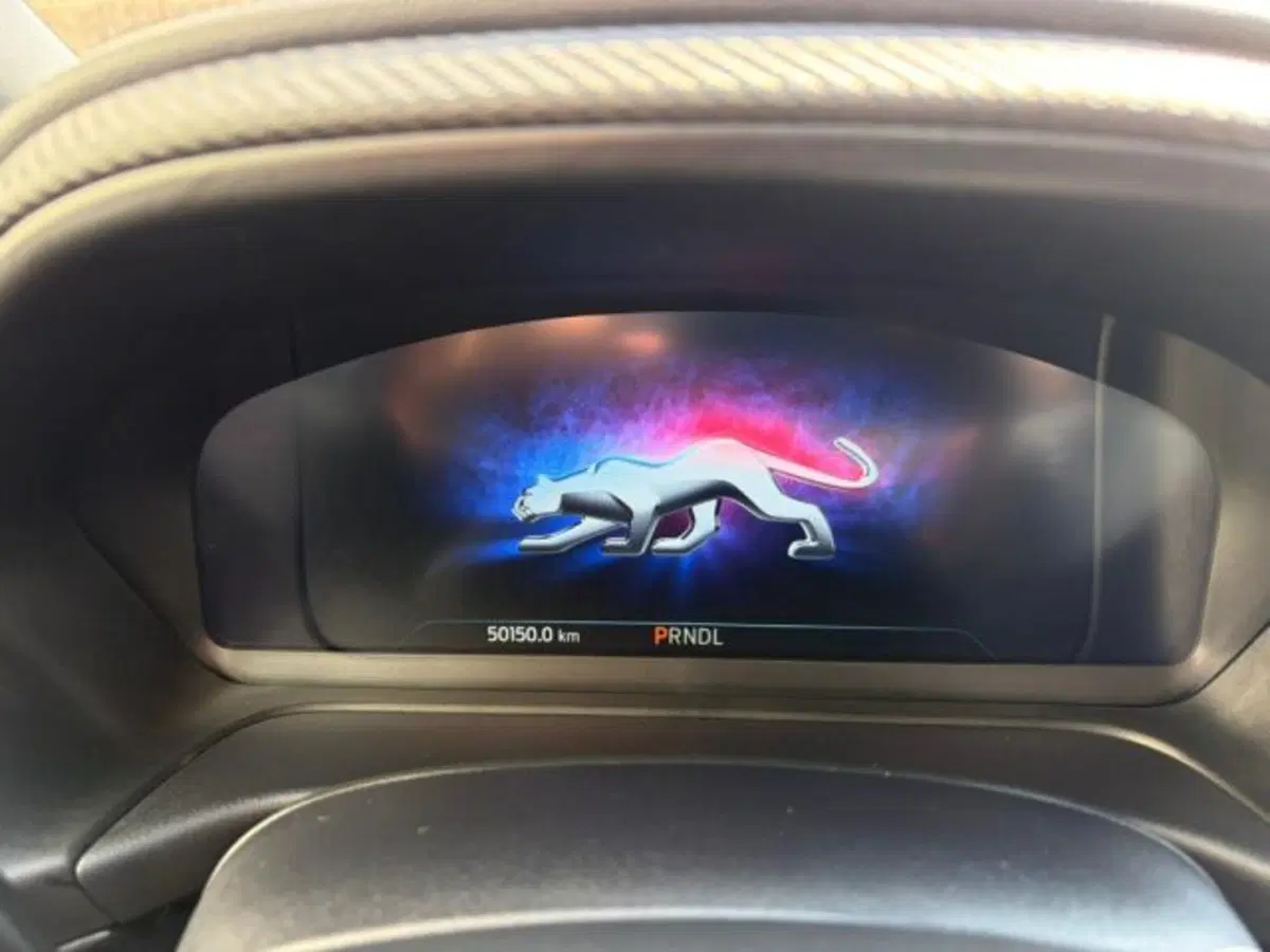Ford Puma usata a Lodi (11)