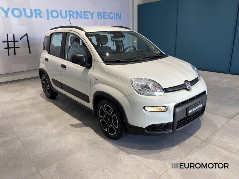 Fiat Panda usata a Bari (3)