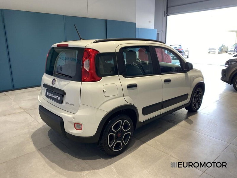 Fiat Panda usata a Bari (6)