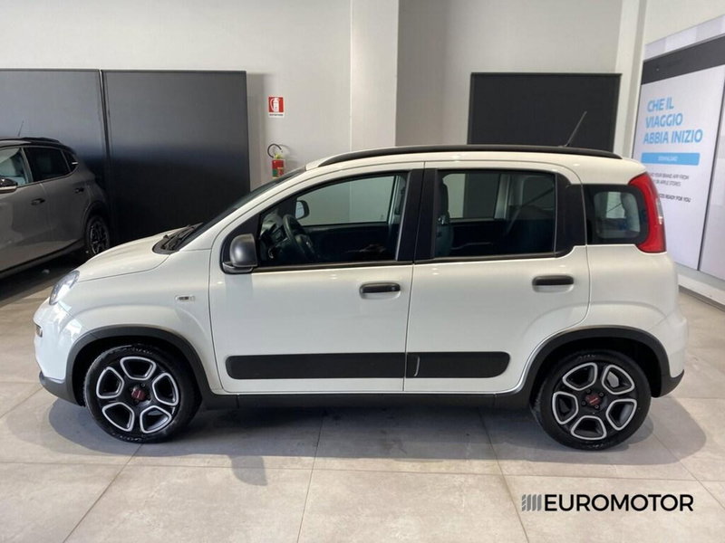 Fiat Panda usata a Bari (9)