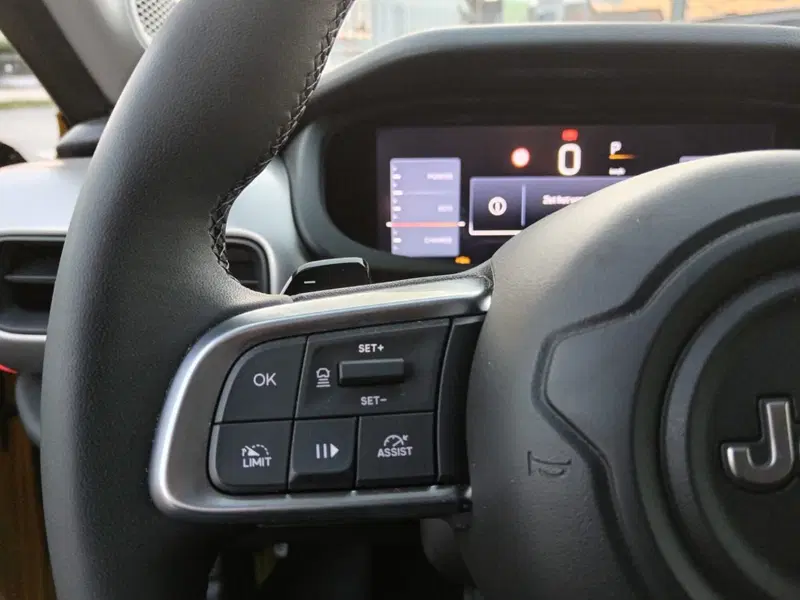 Jeep Avenger usata a Alessandria (19)