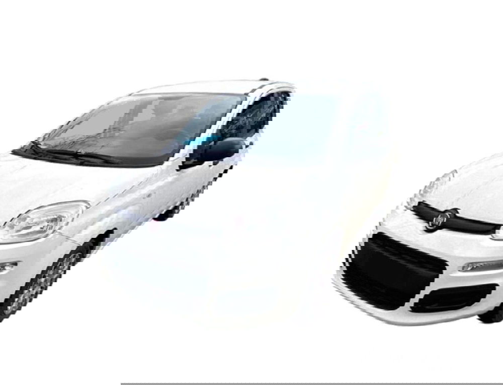 Fiat Panda Cross usata a Bari (9)