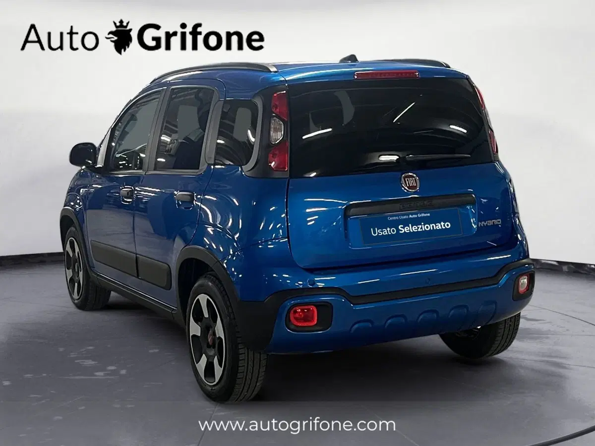 Fiat Panda Cross usata a Modena (3)