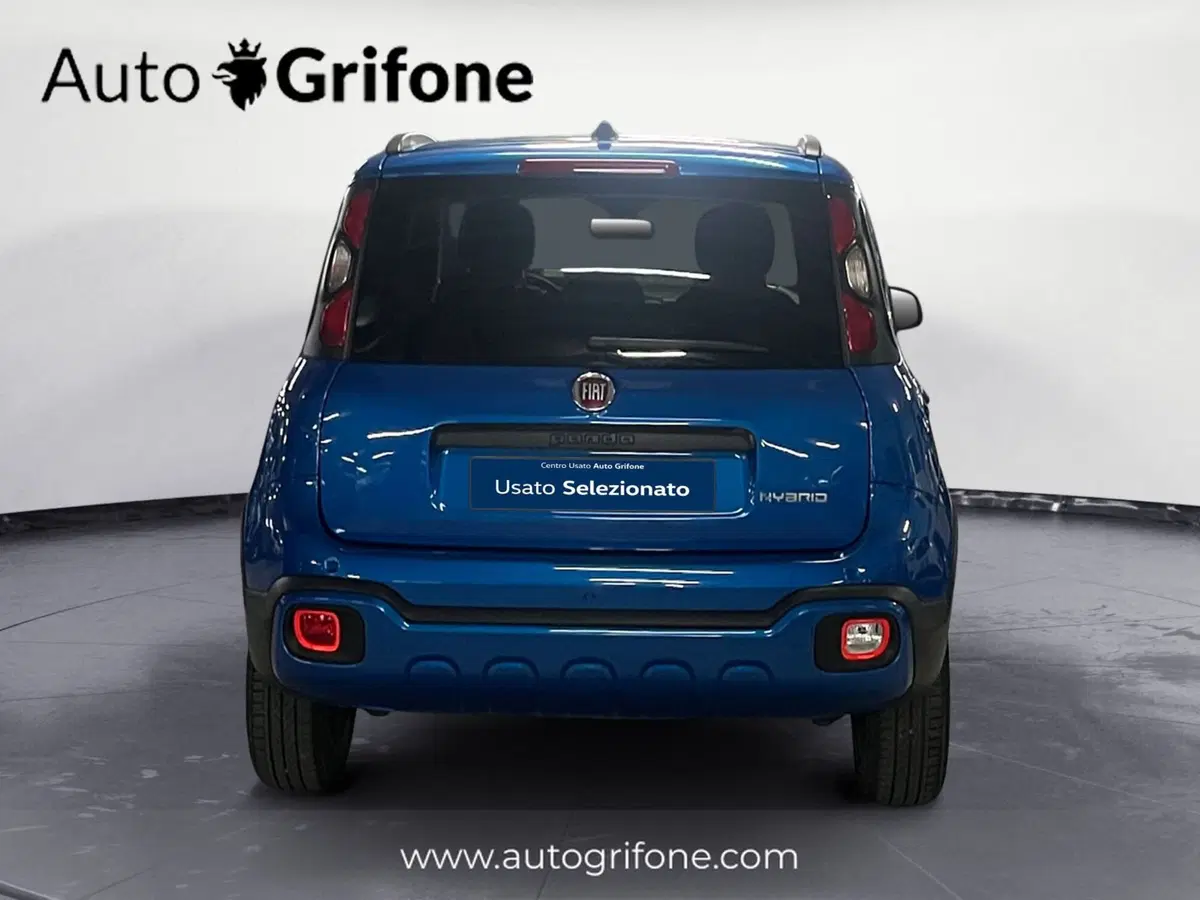 Fiat Panda Cross usata a Modena (4)