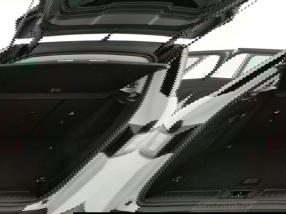 Land Rover Range Rover Evoque usata a Caserta (9)