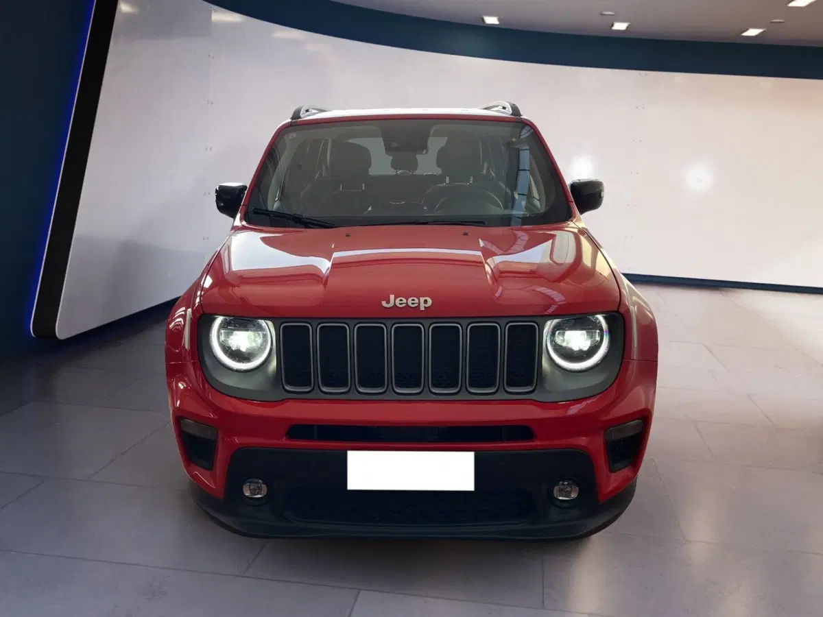 Jeep Renegade usata a Torino