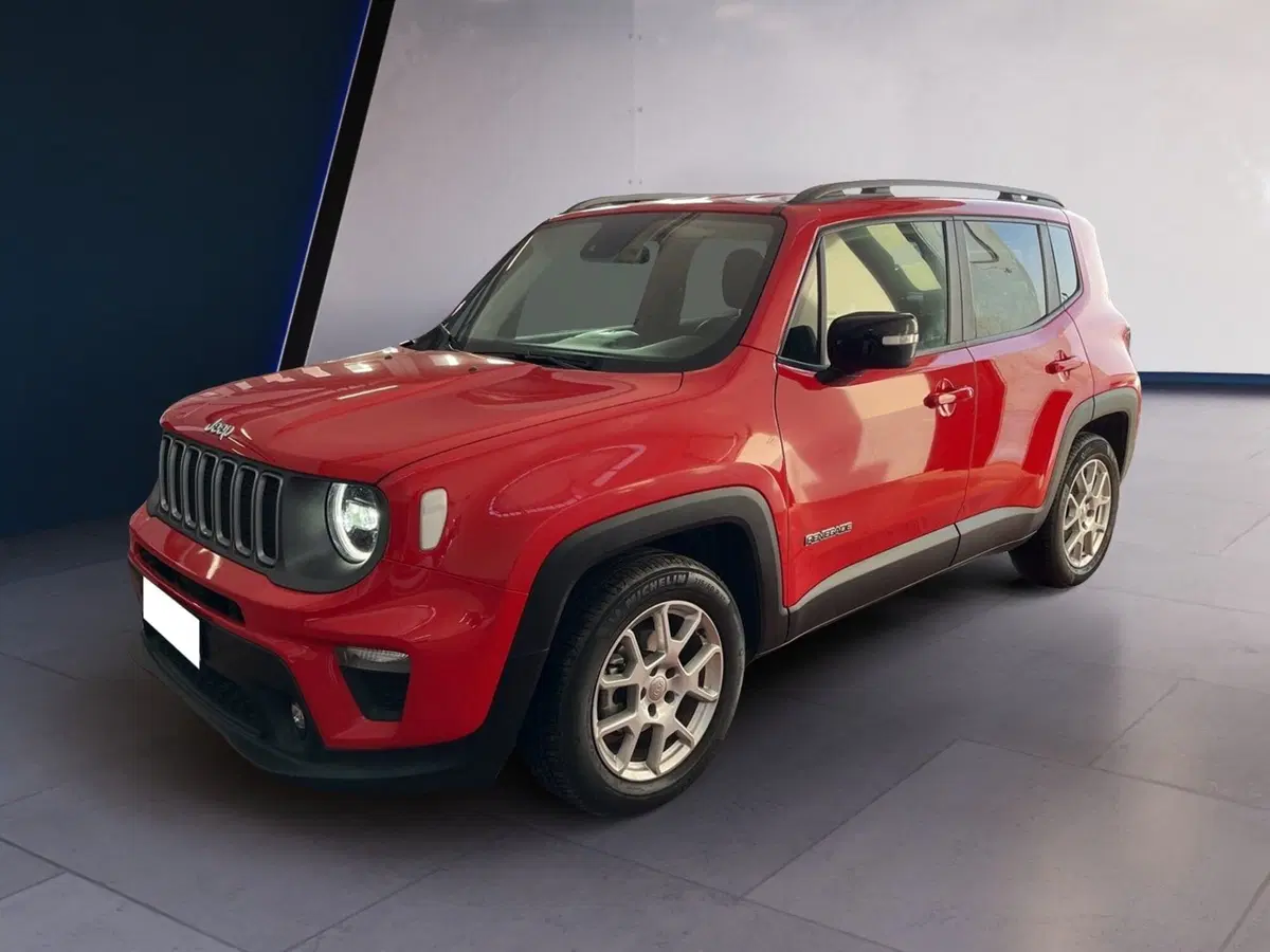 Jeep Renegade usata a Torino (2)
