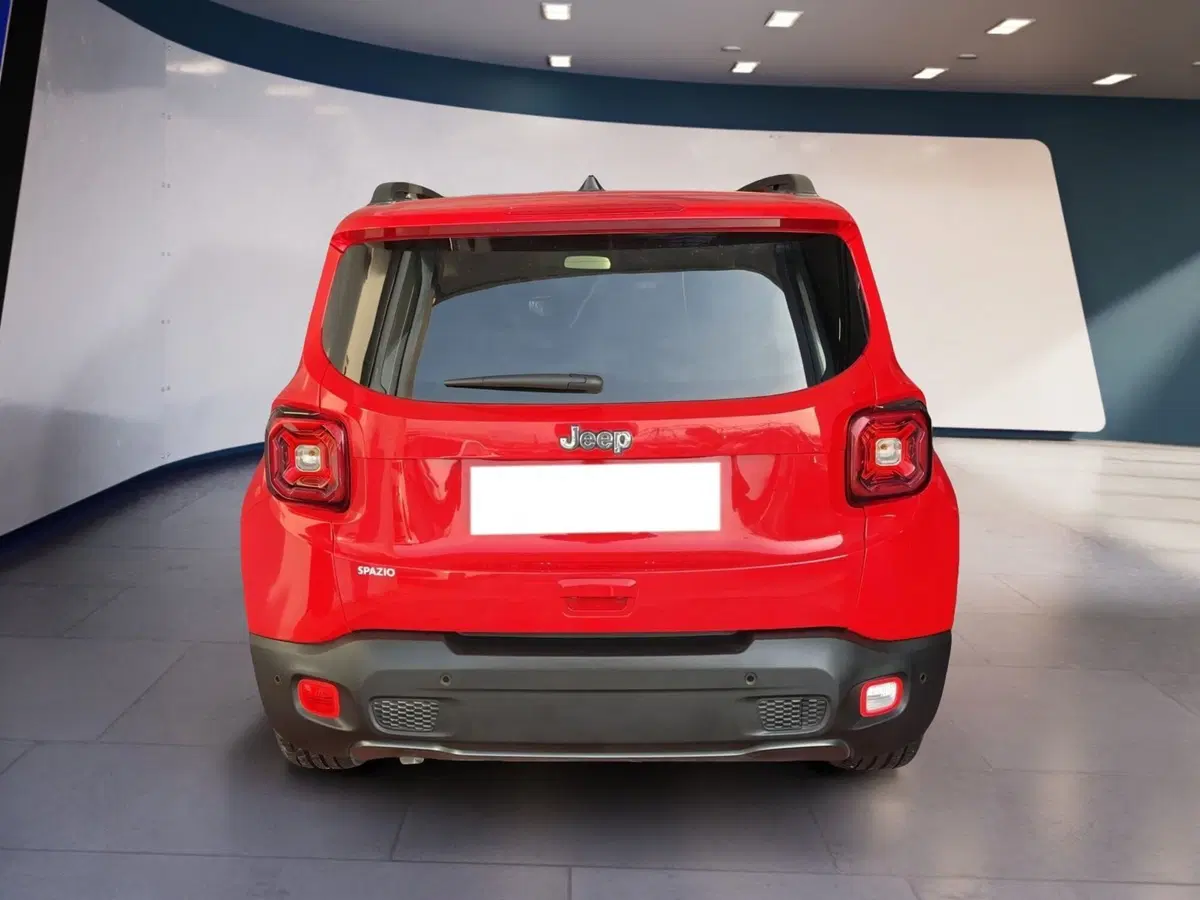 Jeep Renegade usata a Torino (5)