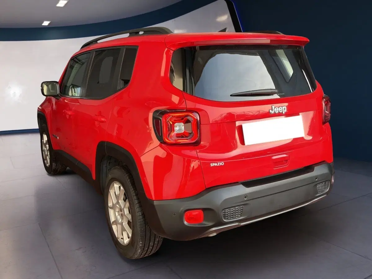 Jeep Renegade usata a Torino (6)
