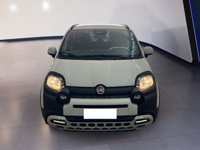 Fiat Pandina 1.0 firefly hybrid s&amp;s 70cv del 2024 usata a Torino