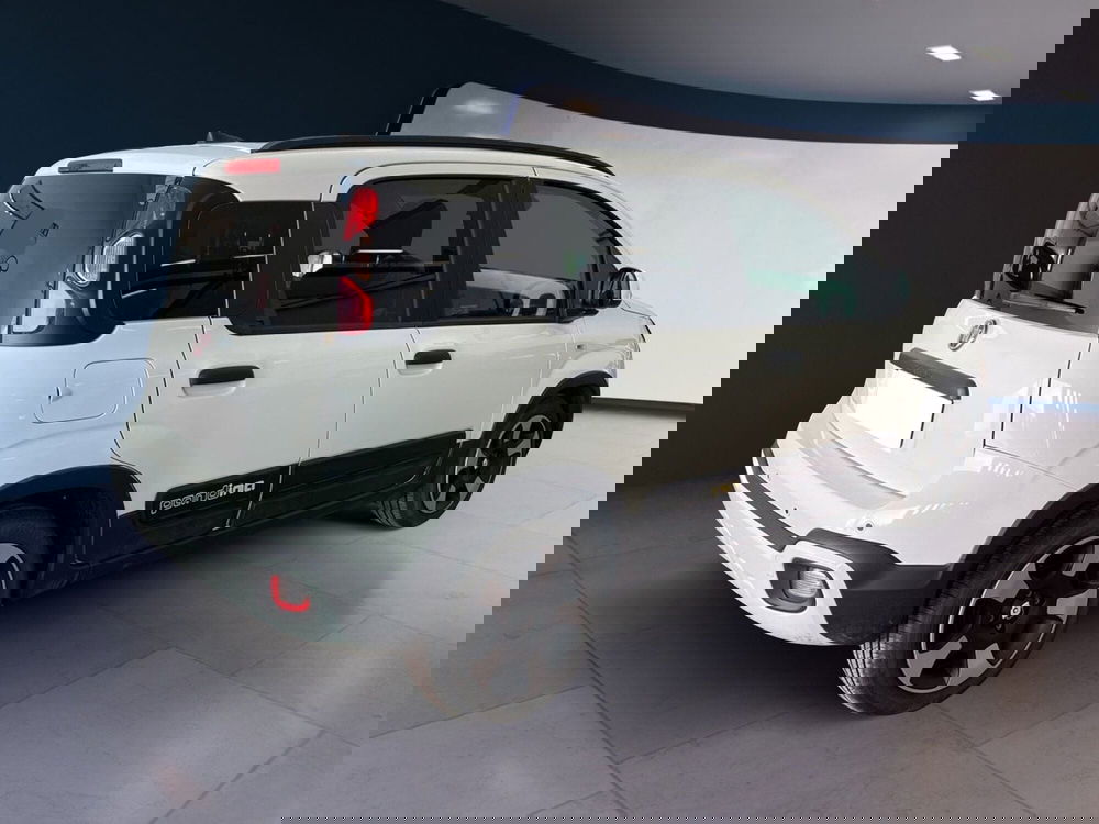 Fiat Pandina usata a Torino (6)