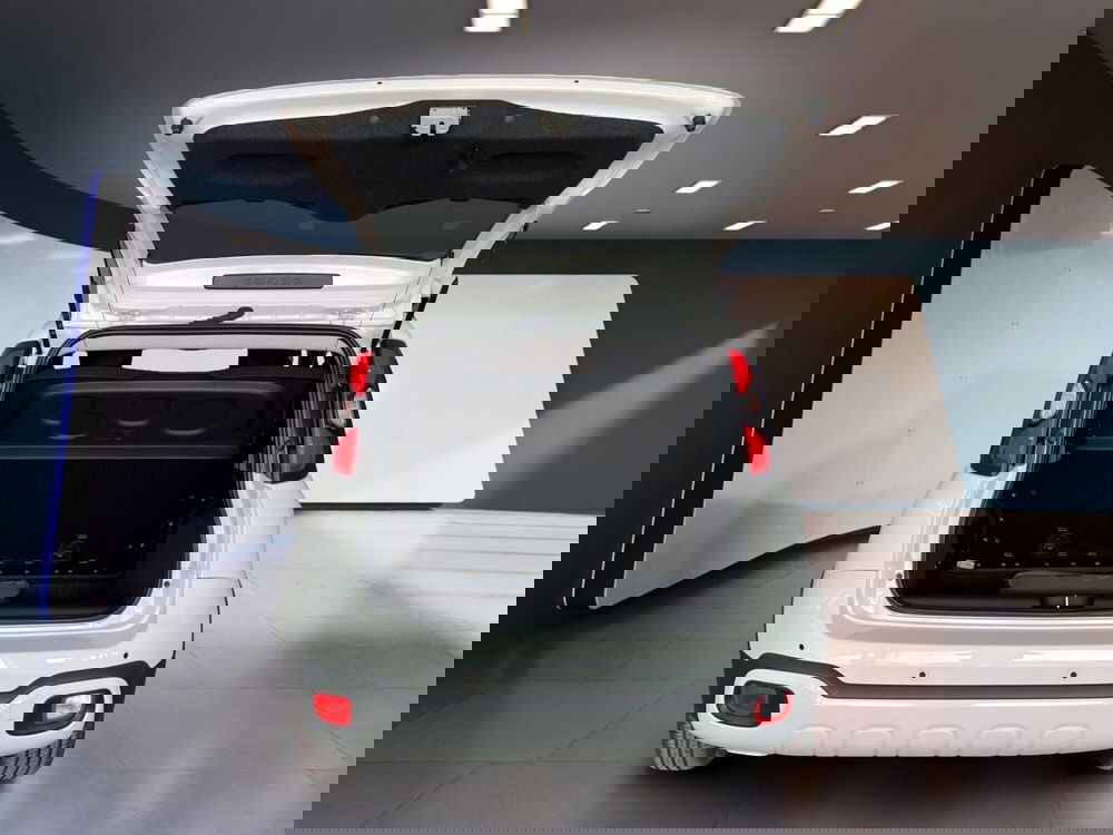 Fiat Pandina usata a Torino (8)