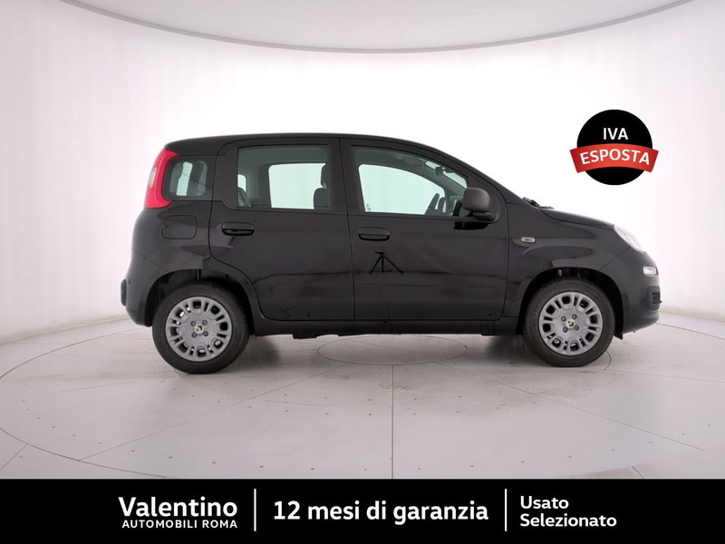 Fiat Pandina nuova a Roma (2)