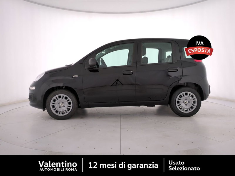 Fiat Pandina nuova a Roma (4)