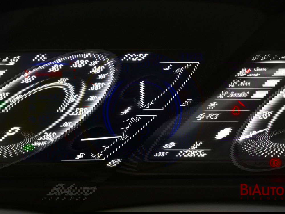 Lexus UX usata a Firenze (12)