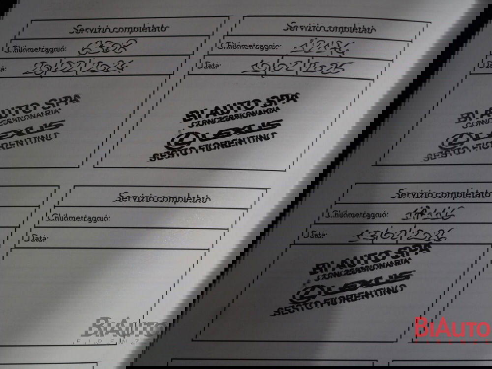 Lexus UX usata a Firenze (18)