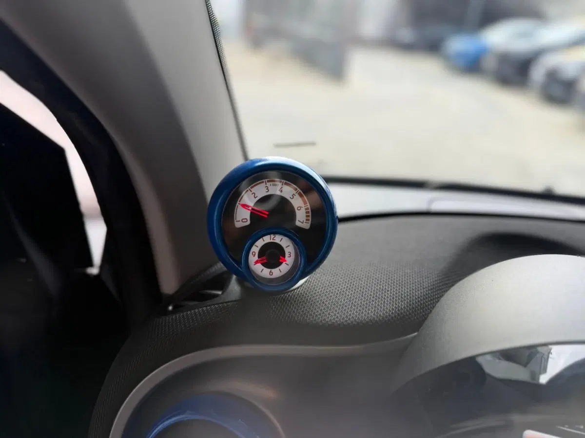 smart Fortwo usata a Torino (8)
