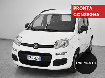 Fiat Panda 1.2 EasyPower Easy del 2020 usata a Prato
