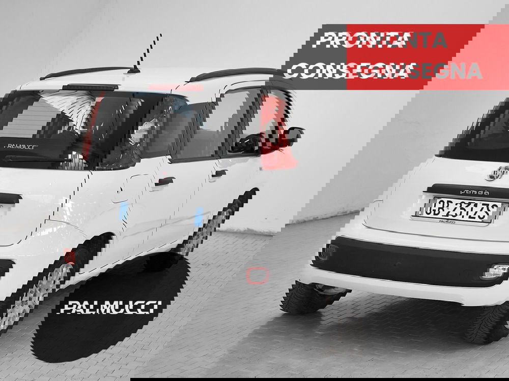 Fiat Panda usata a Prato (3)