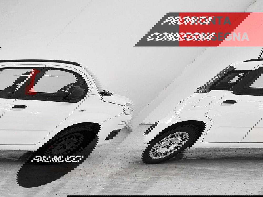 Fiat Panda usata a Prato (4)