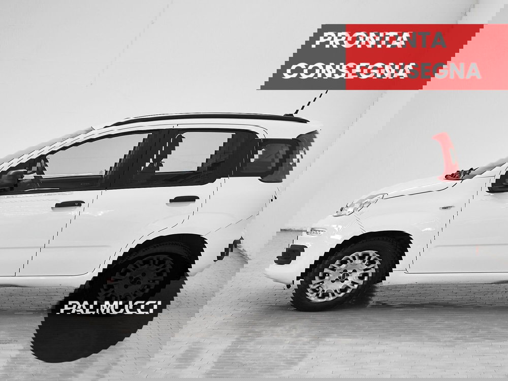 Fiat Panda usata a Prato (5)