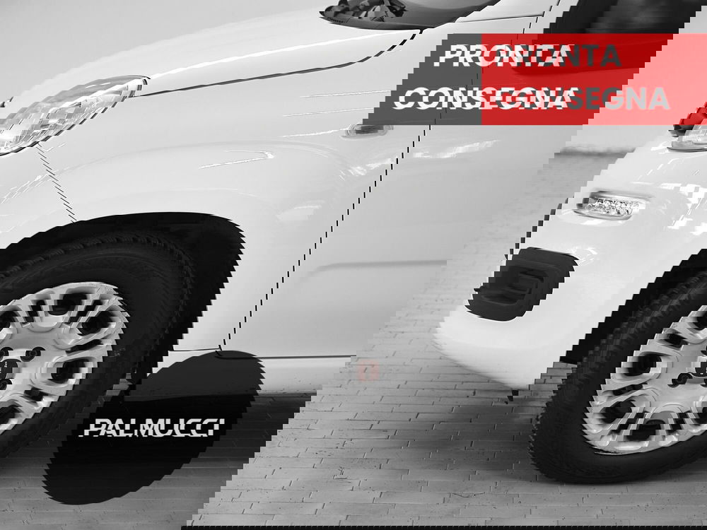 Fiat Panda usata a Prato (6)