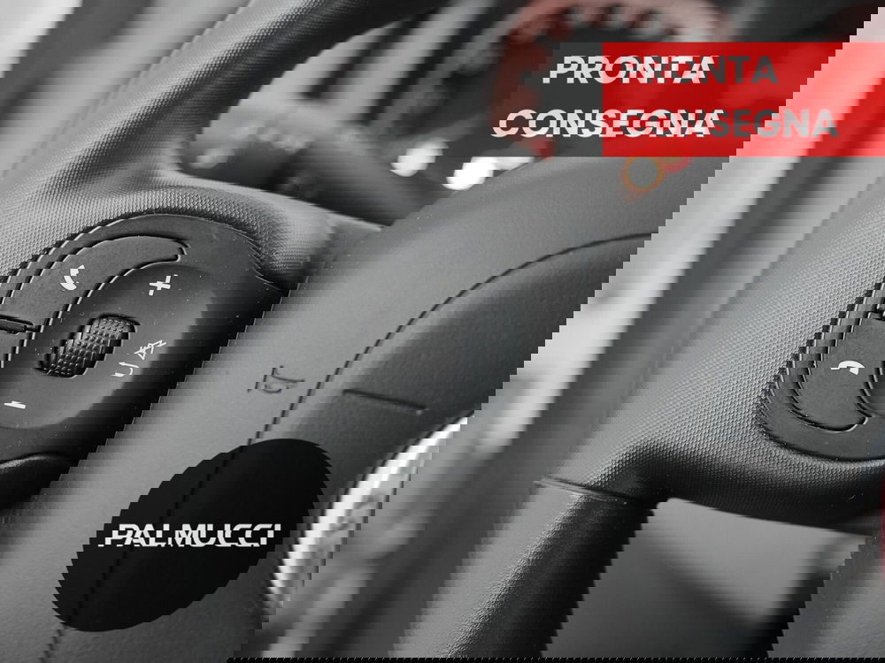 Fiat Panda usata a Prato (9)