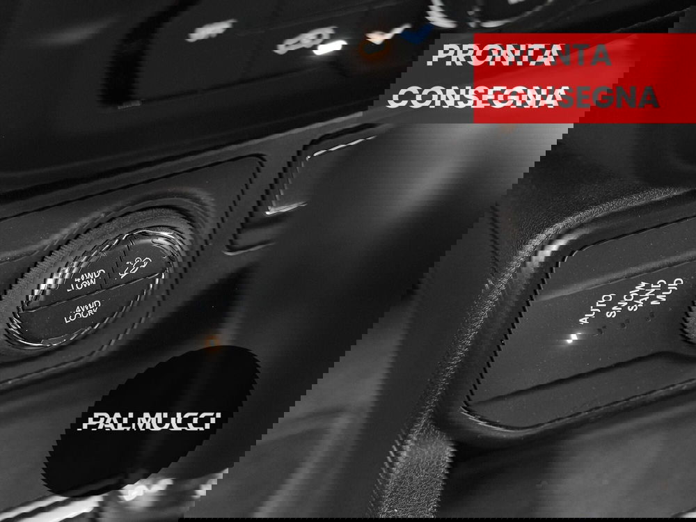 Jeep Renegade usata a Prato (15)