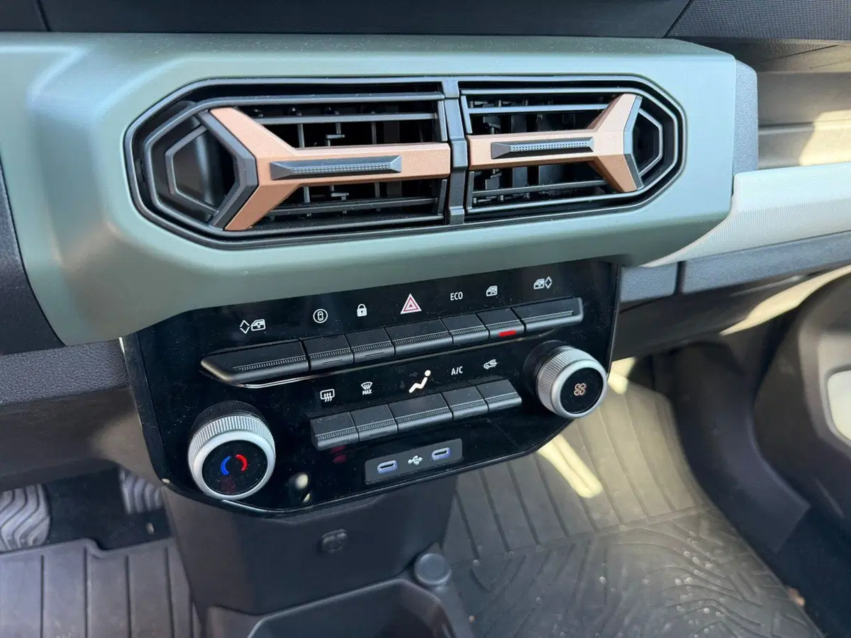 Dacia Spring usata a Brescia (15)