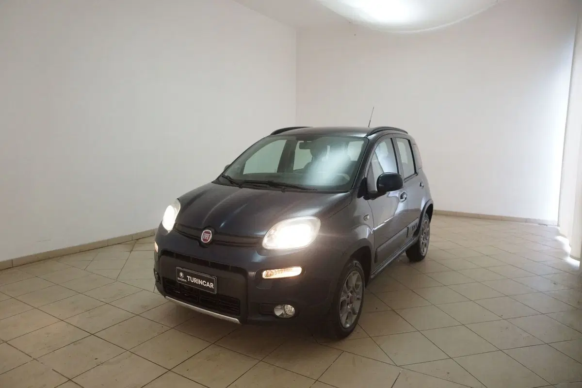 Fiat Panda usata a Torino (20)