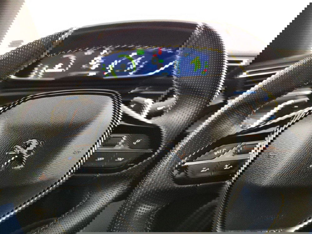 Peugeot 508 SW usata a Massa-Carrara (14)