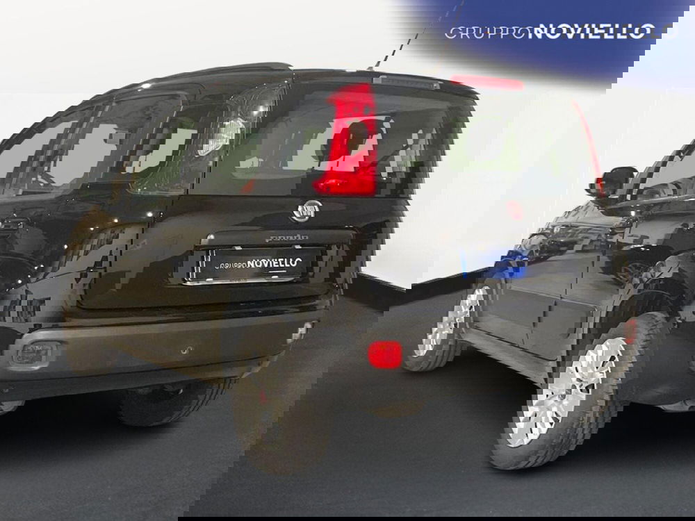 Fiat Panda usata a Salerno (5)