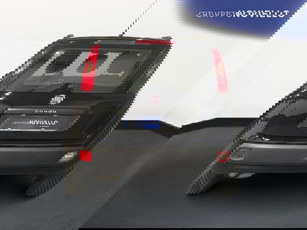 Fiat Panda usata a Salerno (6)