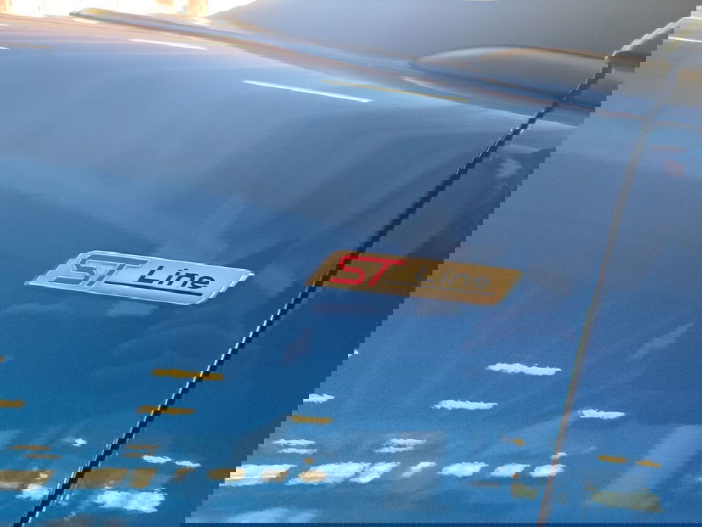 Ford Puma usata a Milano (9)