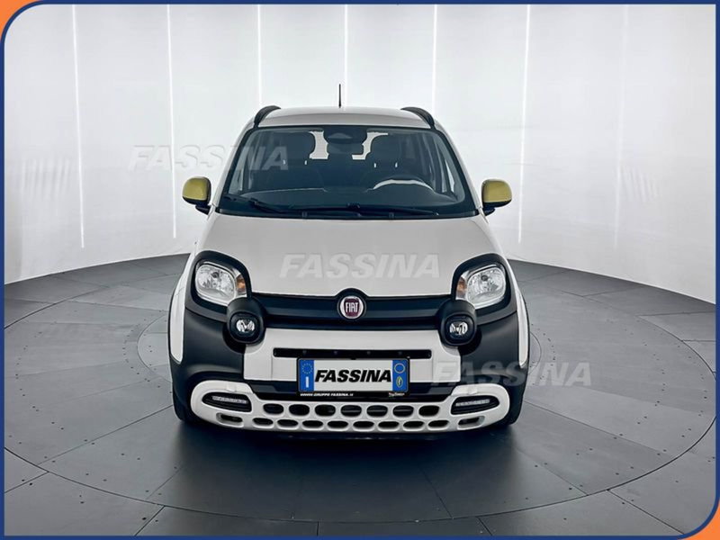 Fiat Pandina usata a Milano (2)