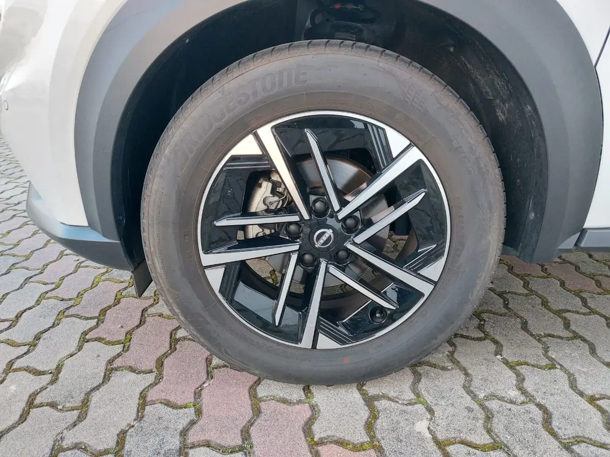 Nissan Juke usata a Pavia (14)
