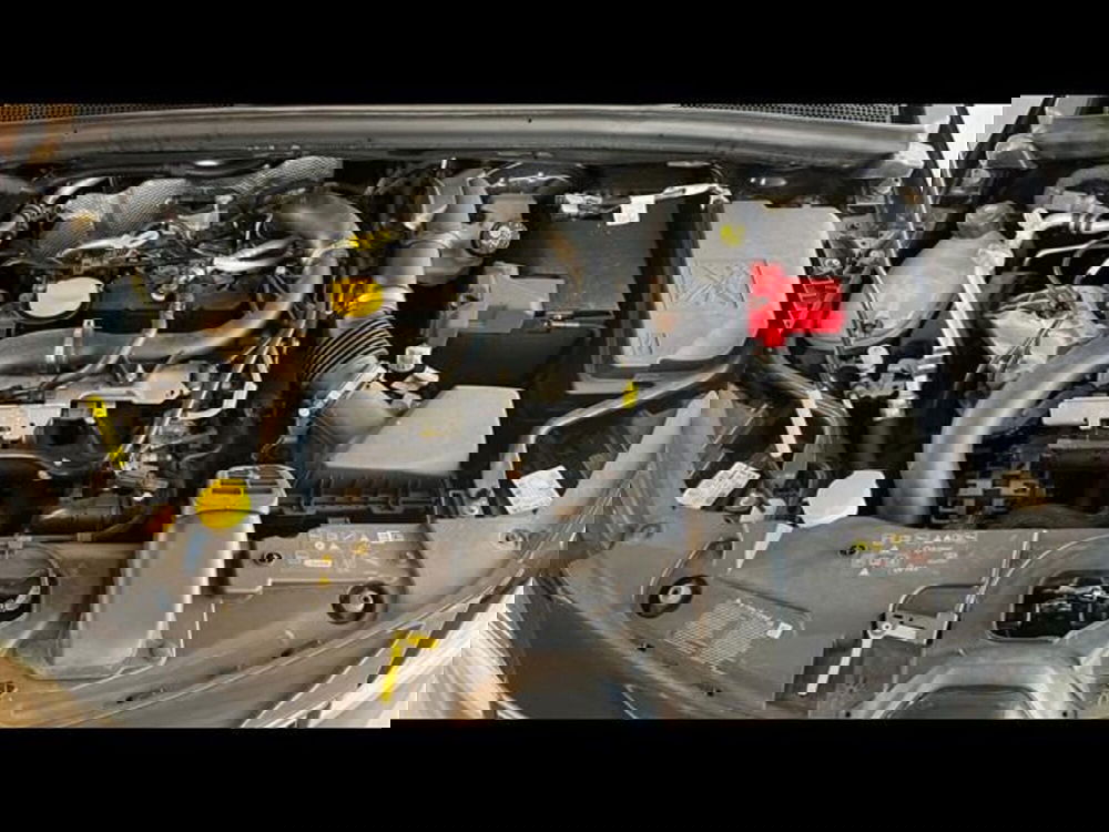 Renault Clio usata a Firenze (14)