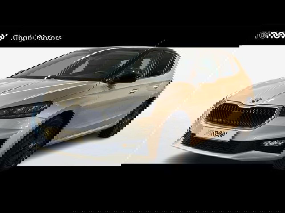 Skoda Fabia usata a Firenze