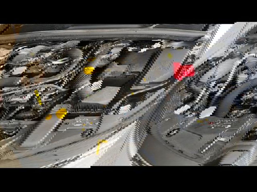 Renault Clio usata a Firenze (14)