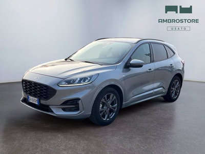 Ford Kuga 1.5 EcoBlue 120 CV 2WD ST-Line del 2022 usata a Segrate