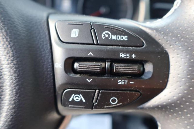 Kia Stonic usata a Gorizia (15)