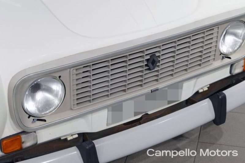 Renault 4 usata a Venezia (19)