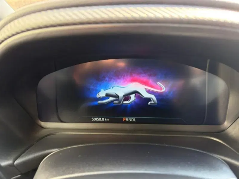 Ford Puma usata a Lodi (11)