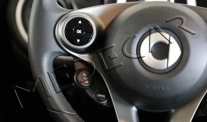 smart forfour usata a Potenza (12)