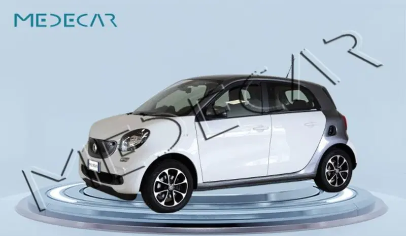 smart forfour usata a Potenza (2)