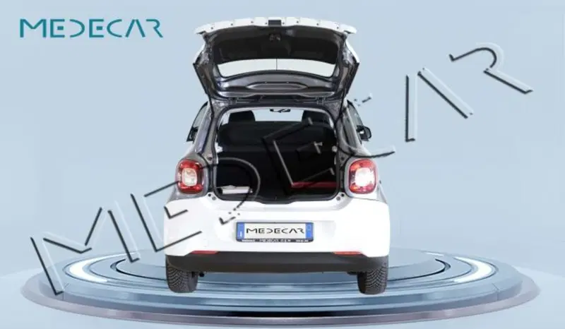 smart forfour usata a Potenza (6)