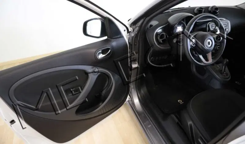 smart forfour usata a Potenza (9)