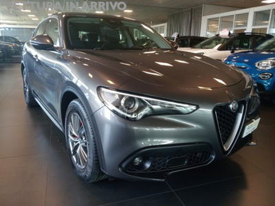 Alfa Romeo Stelvio Stelvio 2.2 Turbodiesel 160 CV AT8 RWD Rosso Edizione del 2020 usata a Modena
