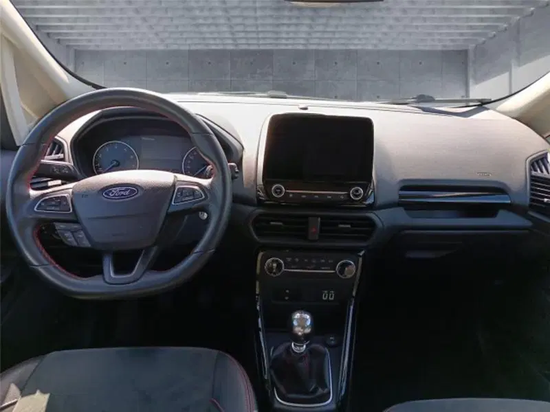 Ford EcoSport usata a Bari (13)