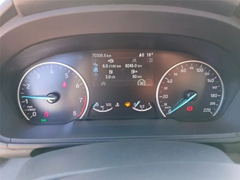 Ford EcoSport usata a Bari (16)